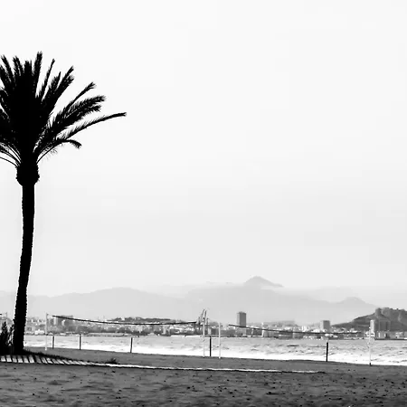 Brisa De Levante By Brivalia * エル・アルテット